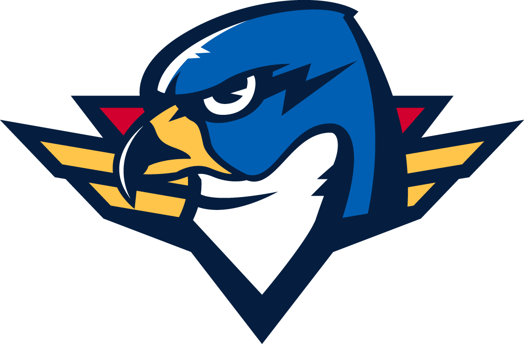Springfield Thunderbirds 2016-Pres Secondary Logo iron on transfers for clothing